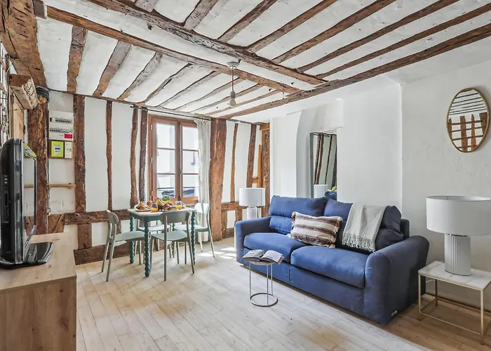 1Br Steps From The Louvre & Palais Royal & Opera Flat